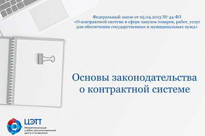 Госзакупки: Основы законодательства о контрактной системе по 44-ФЗ (видео-урок)