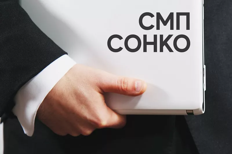 Субъекты, относящиеся к СМП и СОНКО