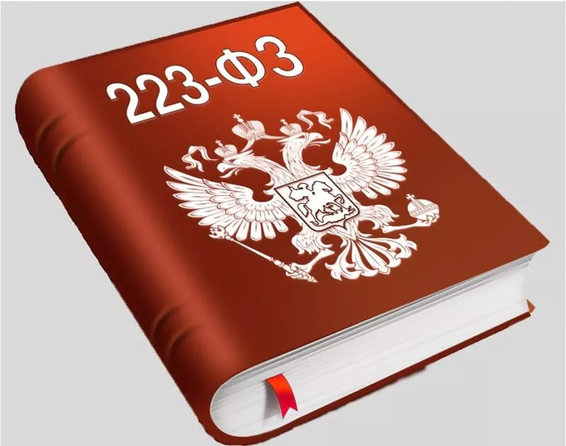 Нюансы закупки выполнения строительных работ по 223-ФЗ